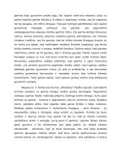 Žmogaus ir gamtos ryšys (Skerdžius) 2 puslapis