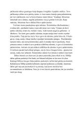 Biblijos siunčiamos žinutės 21a. jaunuoliams 2 puslapis