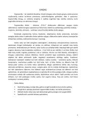 Ergonomika: biuro patalpų įrengimas 4 puslapis