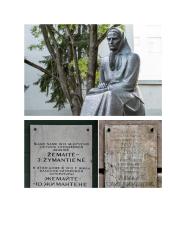 Viešoji kalba apie Žemaitę 14 puslapis