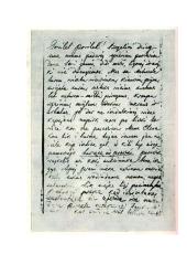 Viešoji kalba apie Žemaitę 8 puslapis