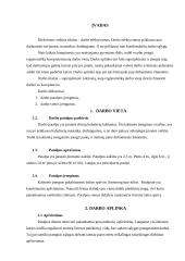 Ergonomiška darbo vieta