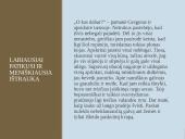 Francas Kafka "Metamorfozė" kūrinio pristatymas 11 puslapis