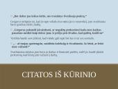 Francas Kafka "Metamorfozė" kūrinio pristatymas 12 puslapis