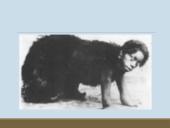 Francas Kafka "Metamorfozė" kūrinio pristatymas 19 puslapis