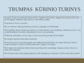 Francas Kafka "Metamorfozė" kūrinio pristatymas 7 puslapis