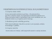 Francas Kafka "Metamorfozė" kūrinio pristatymas 8 puslapis