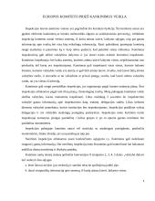 Europos komiteto prieš kankinimus veiklos analizė 4 puslapis