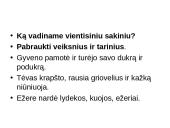 Vientisinis sakinys ir jo skyryba 3 puslapis