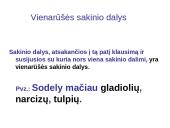 Vientisinis sakinys ir jo skyryba 9 puslapis