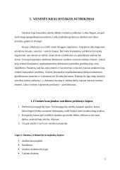 Kojų pratimai, gerinantys venų kraujotaką 4 puslapis