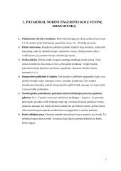 Kojų pratimai, gerinantys venų kraujotaką 6 puslapis