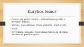 Henrikas Radauskas - asmenybė ir kūryba 9 puslapis