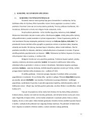 Karaimų ir lietuvių kulinarinio paveldo palyginamoji analizė  11 puslapis