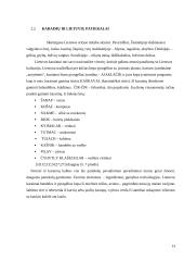 Karaimų ir lietuvių kulinarinio paveldo palyginamoji analizė  13 puslapis