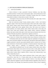 Karaimų ir lietuvių kulinarinio paveldo palyginamoji analizė  14 puslapis