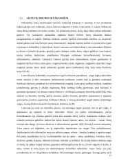 Karaimų ir lietuvių kulinarinio paveldo palyginamoji analizė  17 puslapis