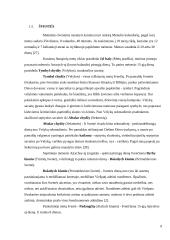 Karaimų ir lietuvių kulinarinio paveldo palyginamoji analizė  9 puslapis