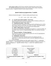 Finansiniai rodikliai: "Gubernijos" alaus darykla 6 puslapis