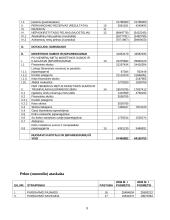 Finansiniai rodikliai: "Gubernijos" alaus darykla 9 puslapis