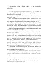 Neverbalinės komunikacijos būdai 14 puslapis