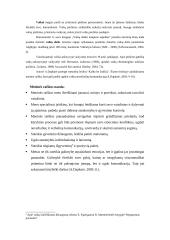 Neverbalinės komunikacijos būdai 17 puslapis