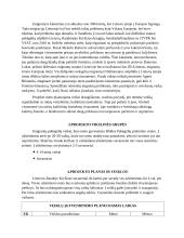 Migrantų užimtumo organizavimas integracijos į bendruomenę gerinimui 3 puslapis