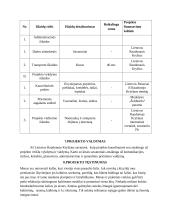 Migrantų užimtumo organizavimas integracijos į bendruomenę gerinimui 5 puslapis