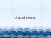 Apie knygą "Anos Frank dienoraštis" 10 puslapis