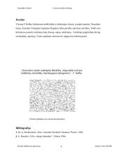 Franco Kafkos kūryba 4 puslapis