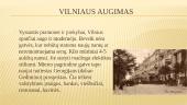 Vilnius ir Vilniaus istorija 8 puslapis
