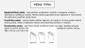 Kas yra plokščiapėdystė? 10 puslapis