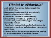 Fermentai kaip biologiniai katalizatoriai 2 puslapis