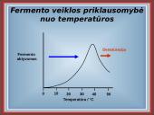 Fermentai kaip biologiniai katalizatoriai 11 puslapis