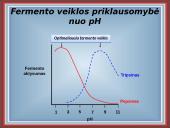 Fermentai kaip biologiniai katalizatoriai 12 puslapis