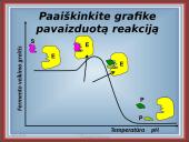 Fermentai kaip biologiniai katalizatoriai 13 puslapis