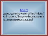 Fermentai kaip biologiniai katalizatoriai 14 puslapis