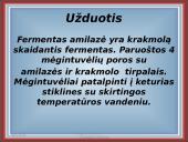 Fermentai kaip biologiniai katalizatoriai 15 puslapis