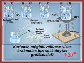 Fermentai kaip biologiniai katalizatoriai 18 puslapis