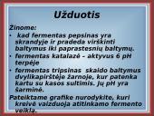 Fermentai kaip biologiniai katalizatoriai 20 puslapis
