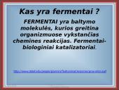 Fermentai kaip biologiniai katalizatoriai 3 puslapis