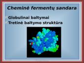 Fermentai kaip biologiniai katalizatoriai 4 puslapis
