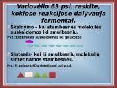 Fermentai kaip biologiniai katalizatoriai 5 puslapis