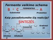 Fermentai kaip biologiniai katalizatoriai 7 puslapis