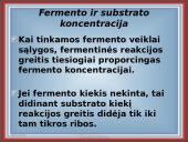 Fermentai kaip biologiniai katalizatoriai 10 puslapis