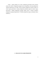 Gaisrinės saugos pagrindai. Pirminės gaisro gesinimo priemonės 3 puslapis