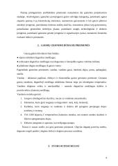 Gaisrinės saugos pagrindai. Pirminės gaisro gesinimo priemonės 4 puslapis