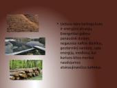 Lietuvos energetika 3 puslapis