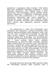 Geografinių informacijos sistemų diegimas 3 puslapis