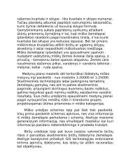 Geografinių informacijos sistemų diegimas 6 puslapis